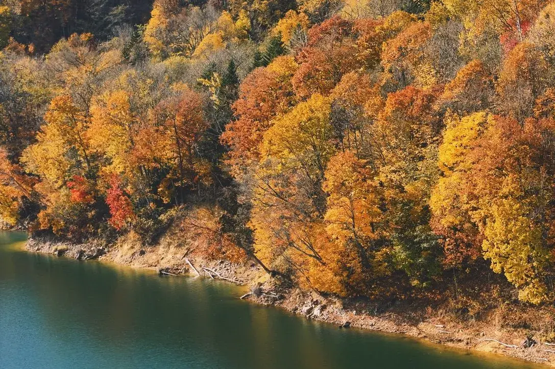 Autumn (September – November)