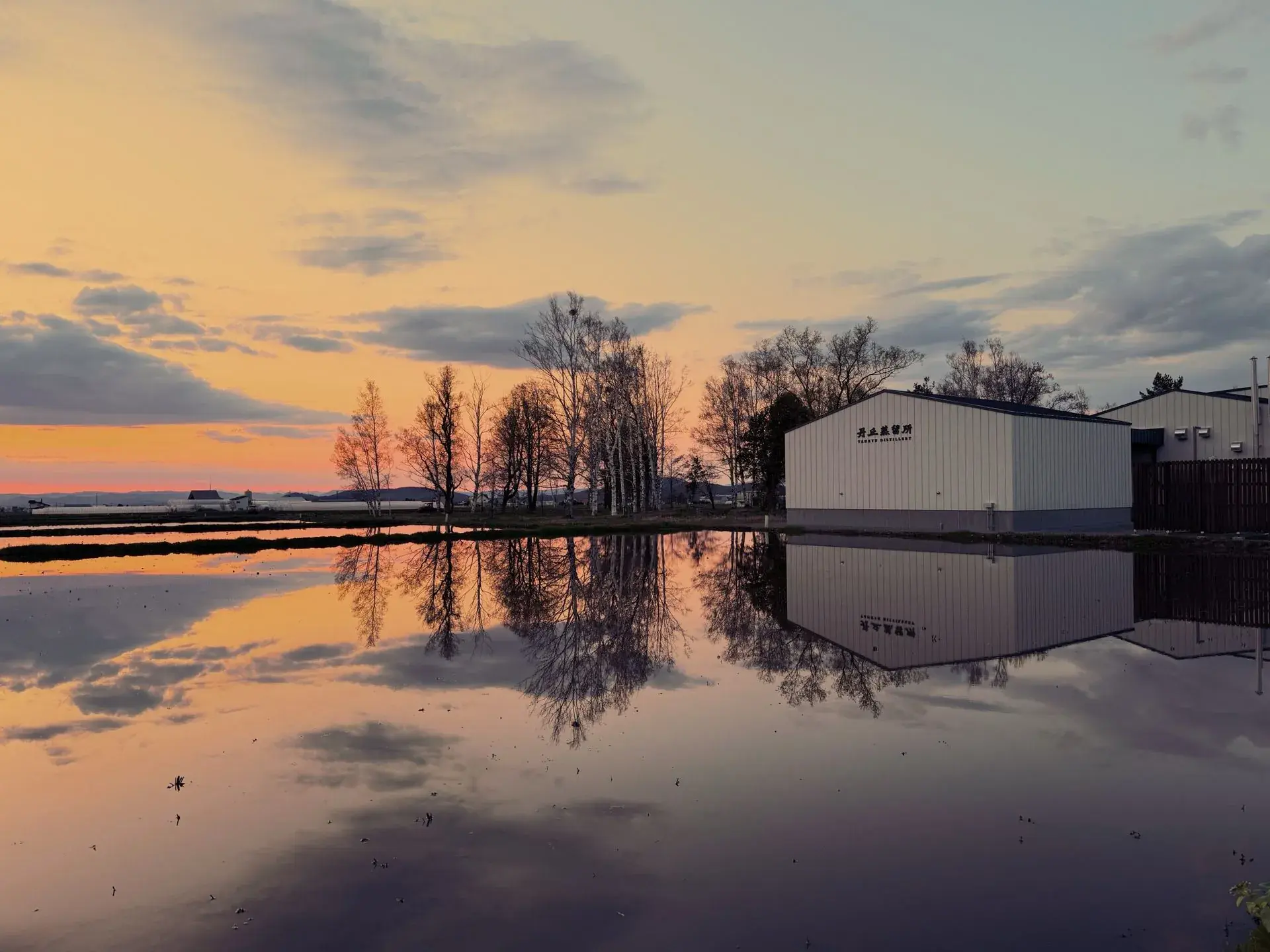 The Town of Photography